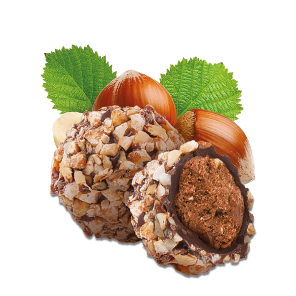 Truffes praliné noisette enrobées de chocolat noir bio - 1
